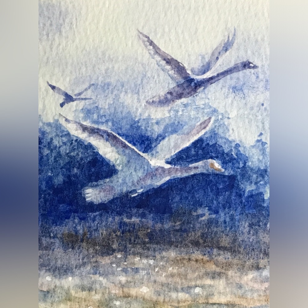 Original Swan Painting Watercolor Art Bird Landscape Small Artwork cottage core - Picture 5 of 8
